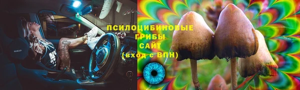 ешки Володарск