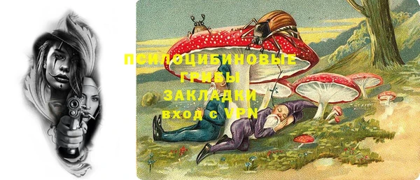ешки Володарск