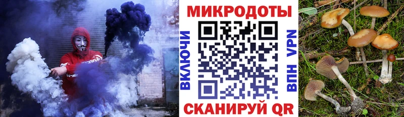 Купить где  Торопец  Псилоцибиновые грибы Psilocybe 